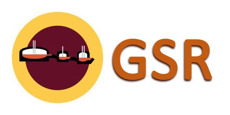 Trademark GSR (logo)