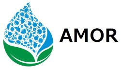 Trademark AMOR + Logo