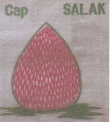 Trademark CAP SALAK