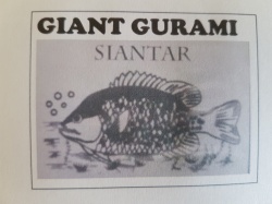 Trademark GIANT GURAMI SIANTAR