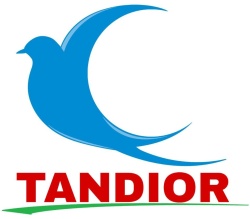 Trademark Tandior