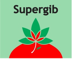 Trademark SUPERGIB