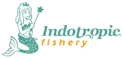 Trademark INDOTROPIC FISHERY