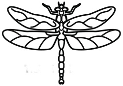 Trademark 