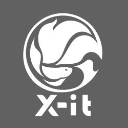 Trademark X-it & logo