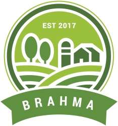 Trademark BRAHMA