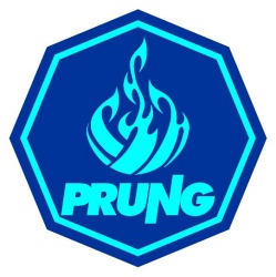 Trademark PRUNG+LOGO