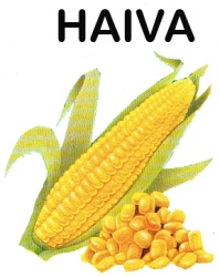 Trademark HAIVA DAN LUKISAN JAGUNG