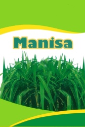 Trademark Manisa