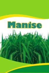 Trademark Manise