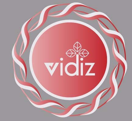 Trademark VIDIZ+ Logo