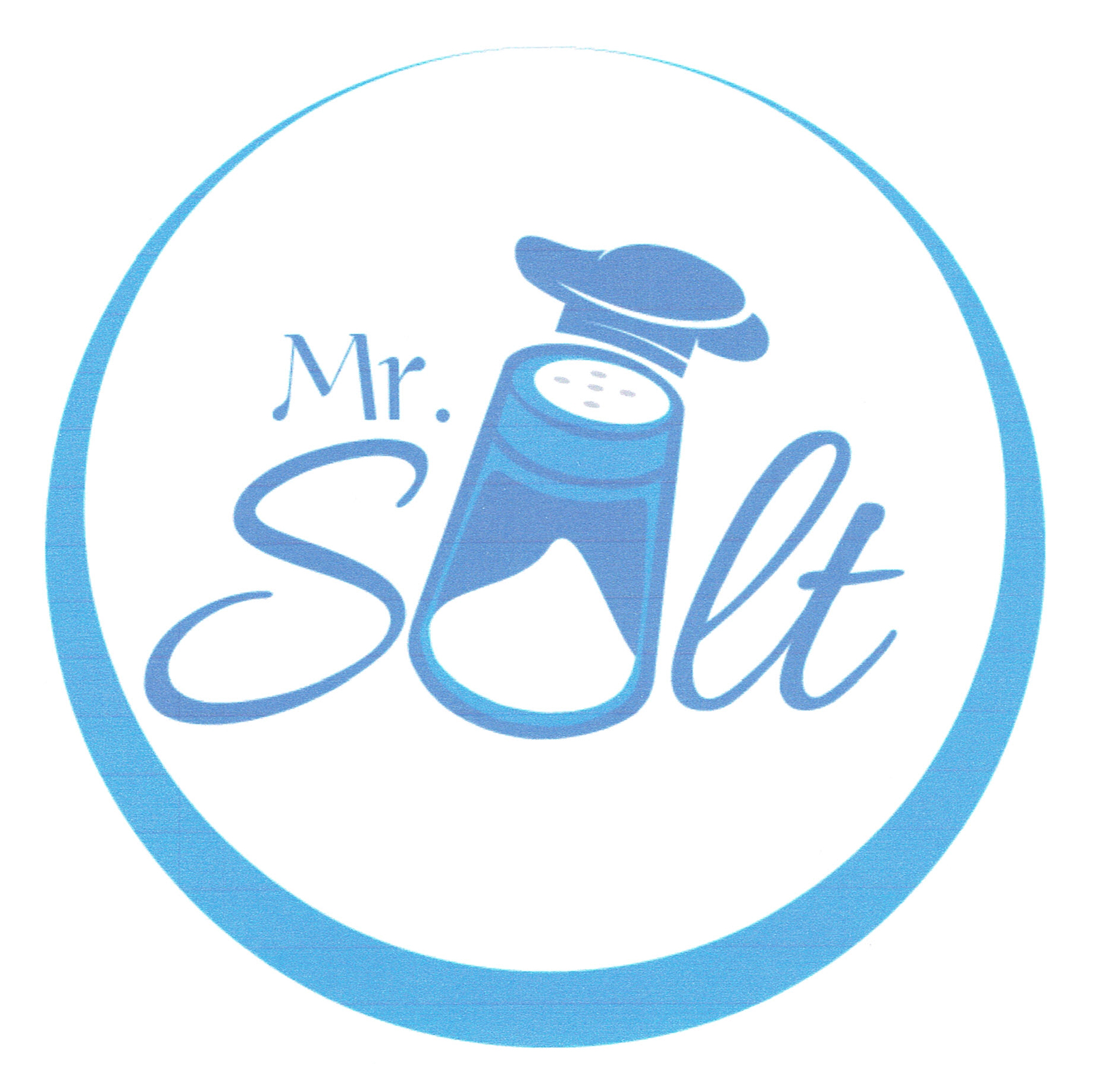 Trademark MR.SALT+LOGO