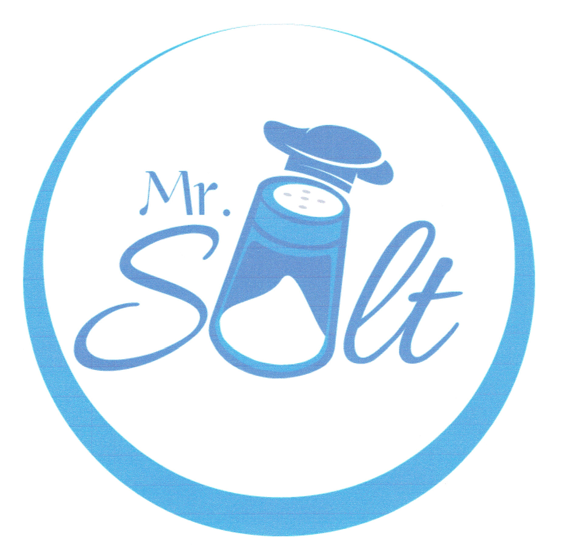 Trademark MR.SALT+LOGO