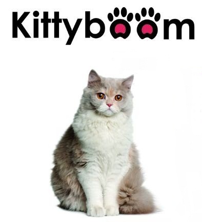 Trademark Kittyboom