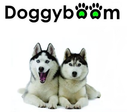 Trademark Doggyboom