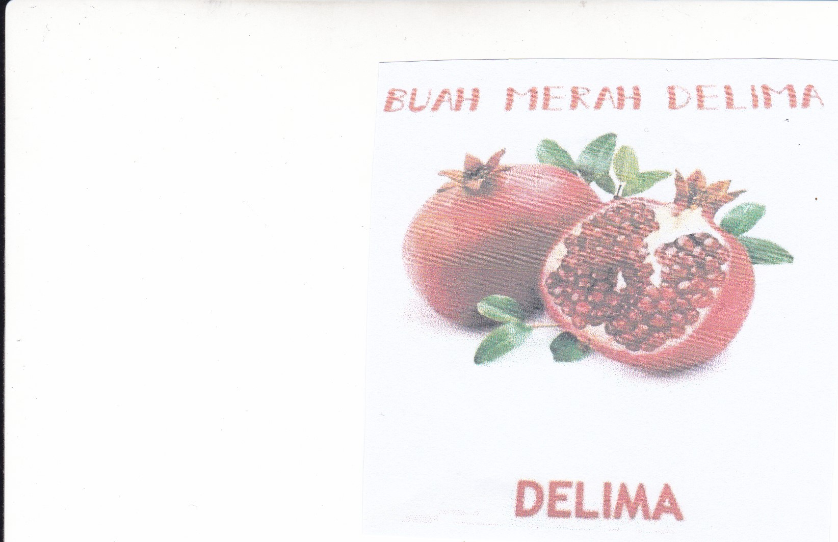 Trademark Buah Merah Delima + logo