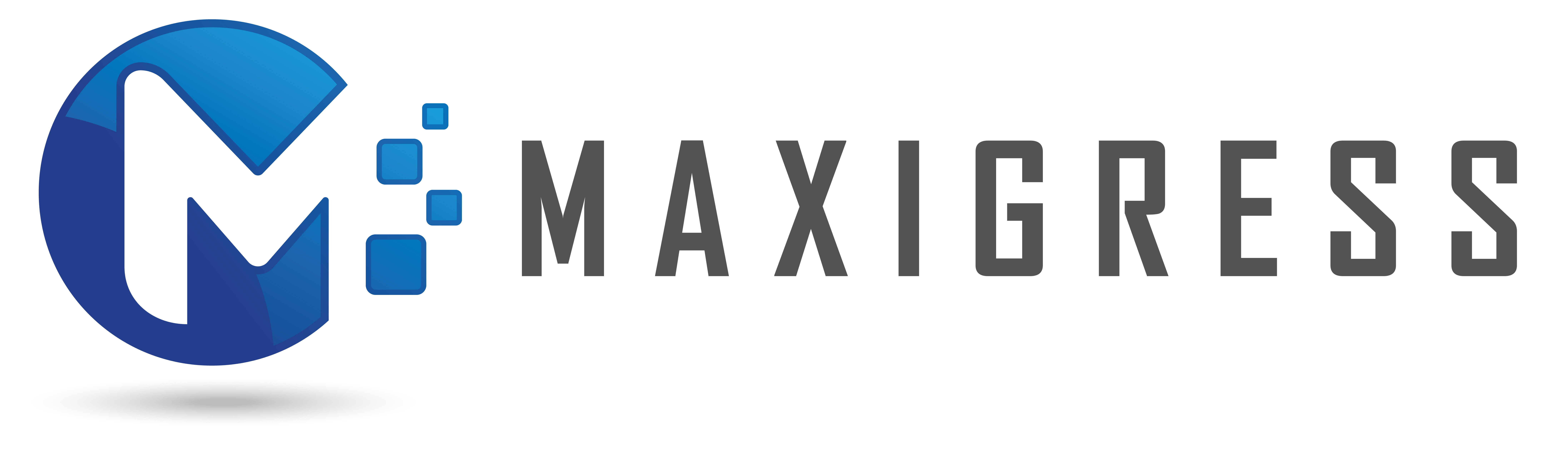 Trademark MAXIGRESS + LOGO