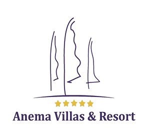 Trademark ANEMA + LOGO