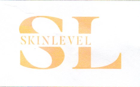 Trademark SKIN LEVEL dan Logo