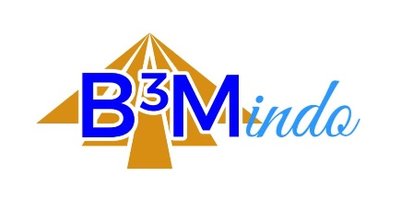 Trademark B3MINDO