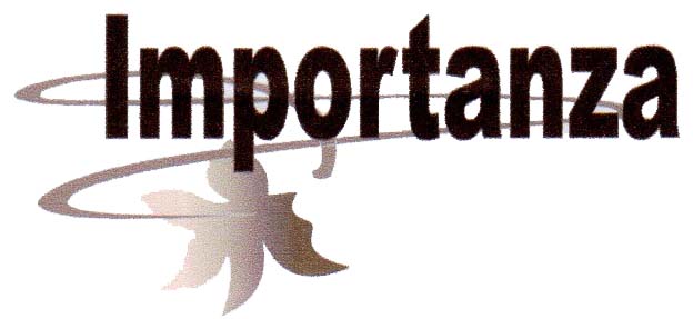 Trademark Importanza