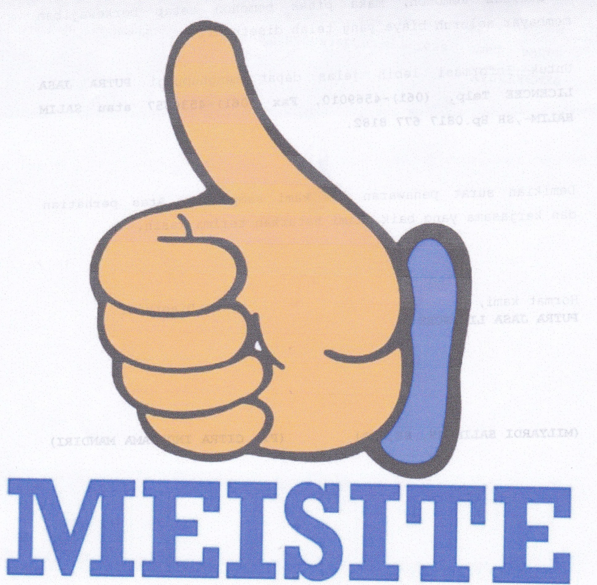 Trademark MEISITE & LOGO