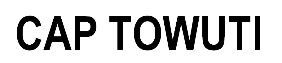 Trademark CAP TOWUTI