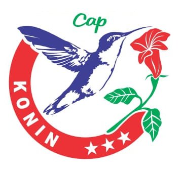 Trademark CAP KONIN + LUKISAN