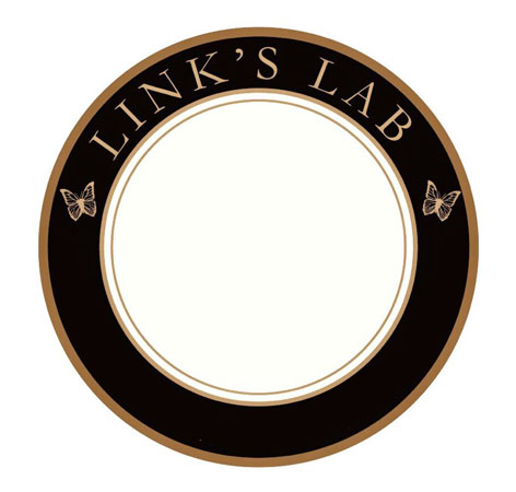 Trademark LINK'S LAB