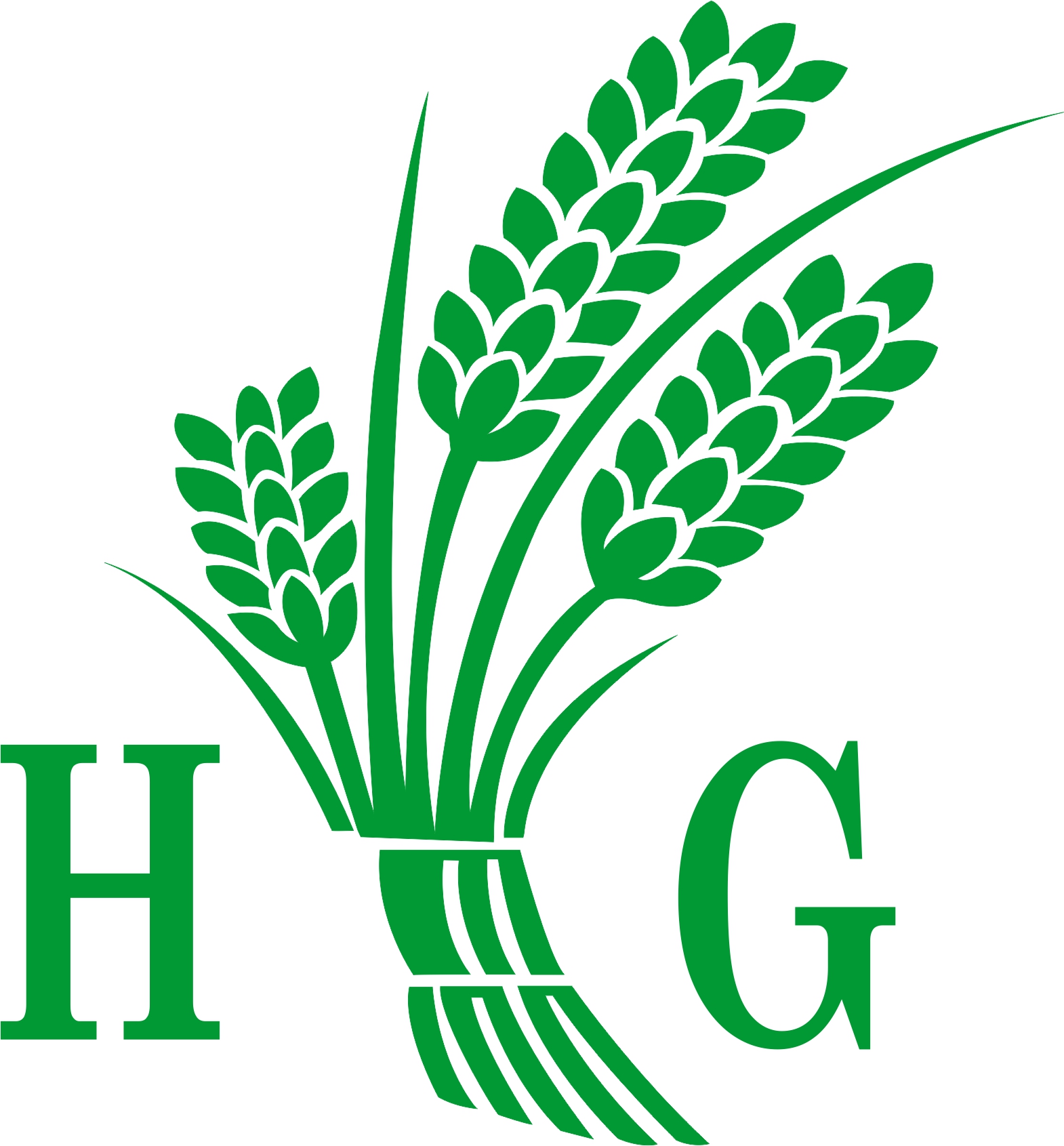 Trademark HG+LOGO