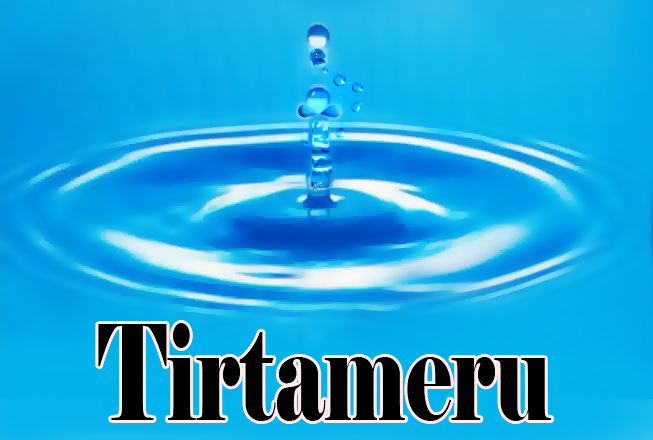 Trademark TIRTAMERU