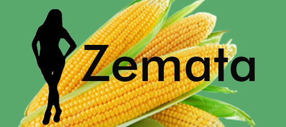 Trademark ZEMATA