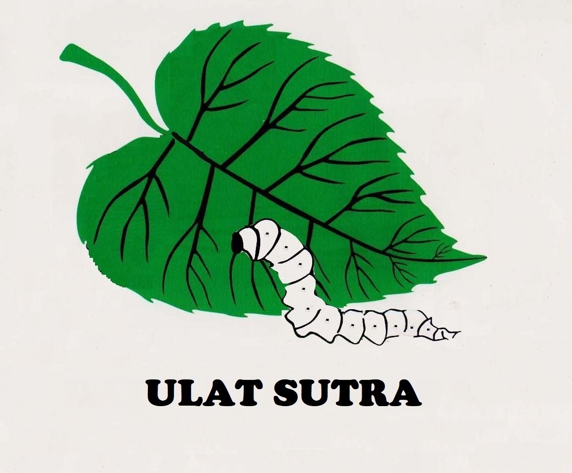 Trademark ULAT SUTRA