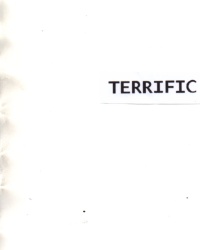 Trademark TERRIFIC