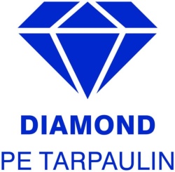 Trademark DIAMOND + LOGO