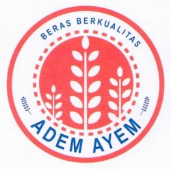 Trademark ADEM AYEM