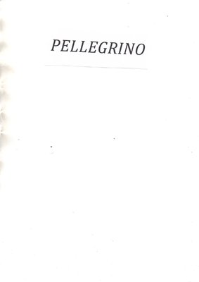 Trademark PELLEGRINO