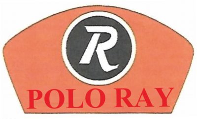 Trademark POLORAY + LOGO