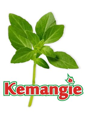 Trademark KEMANGIE