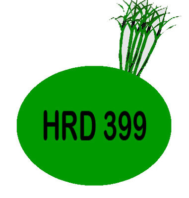 Trademark HRD 399