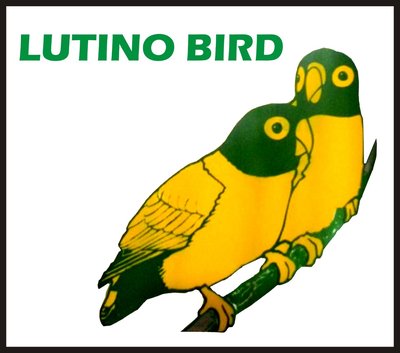 Trademark LUTINO BIRD