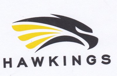 Trademark HAWKINGS & LOGO