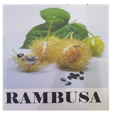 Trademark RAMBUSA