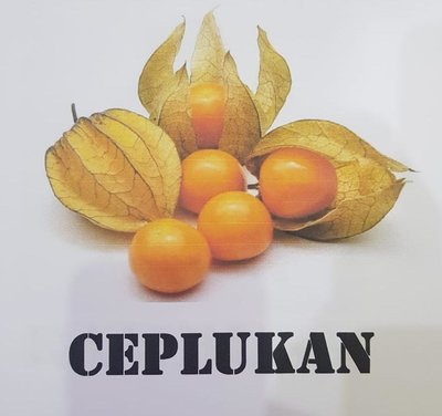 Trademark CEPLUKAN