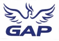 Trademark GAP + LOGO