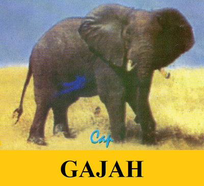 Trademark GAJAH