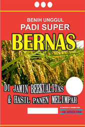 Trademark BERNAS