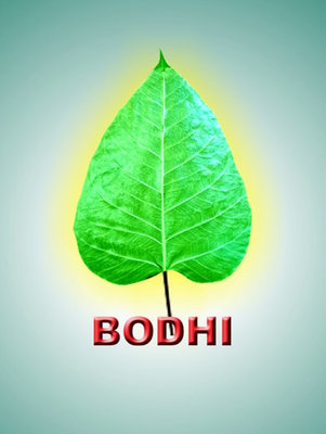 Trademark BODHI