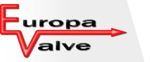 Trademark EUROPA VALVE