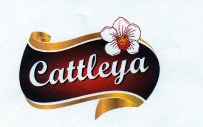 Trademark Cattleya dan logo